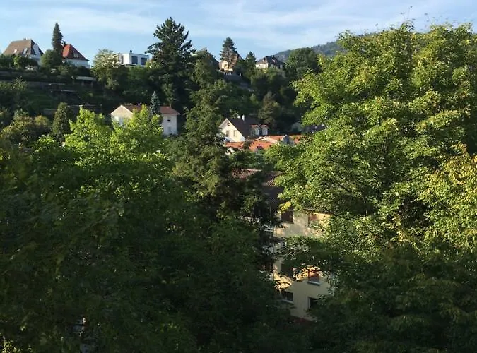 公寓 Baden Apartment *