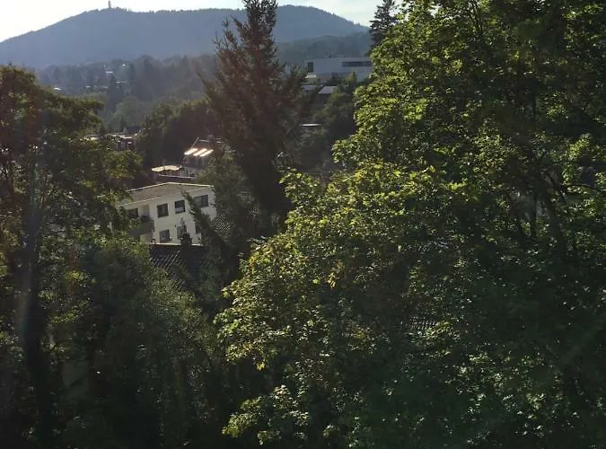 Baden Apartment * 巴登-巴登