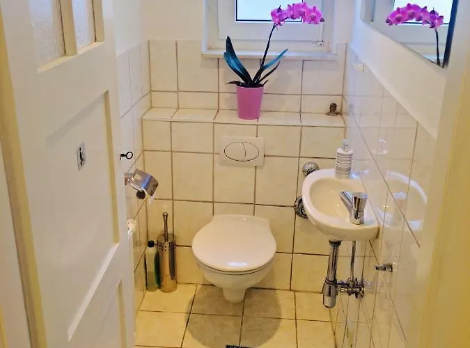 Baden Apartment 巴登-巴登