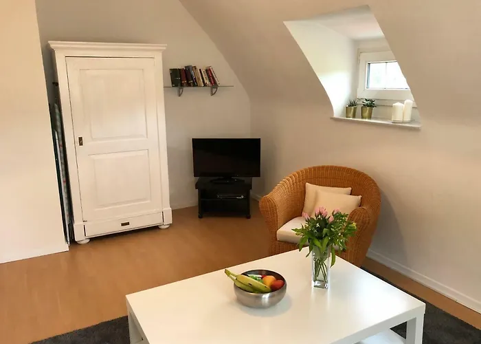 Baden Apartment * 巴登-巴登