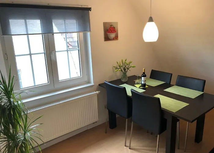 公寓 Baden Apartment